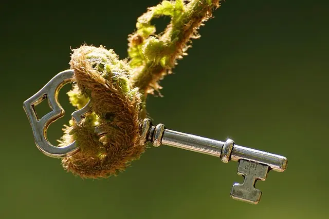 Essential Spiritual Growth Practices Buying Guide