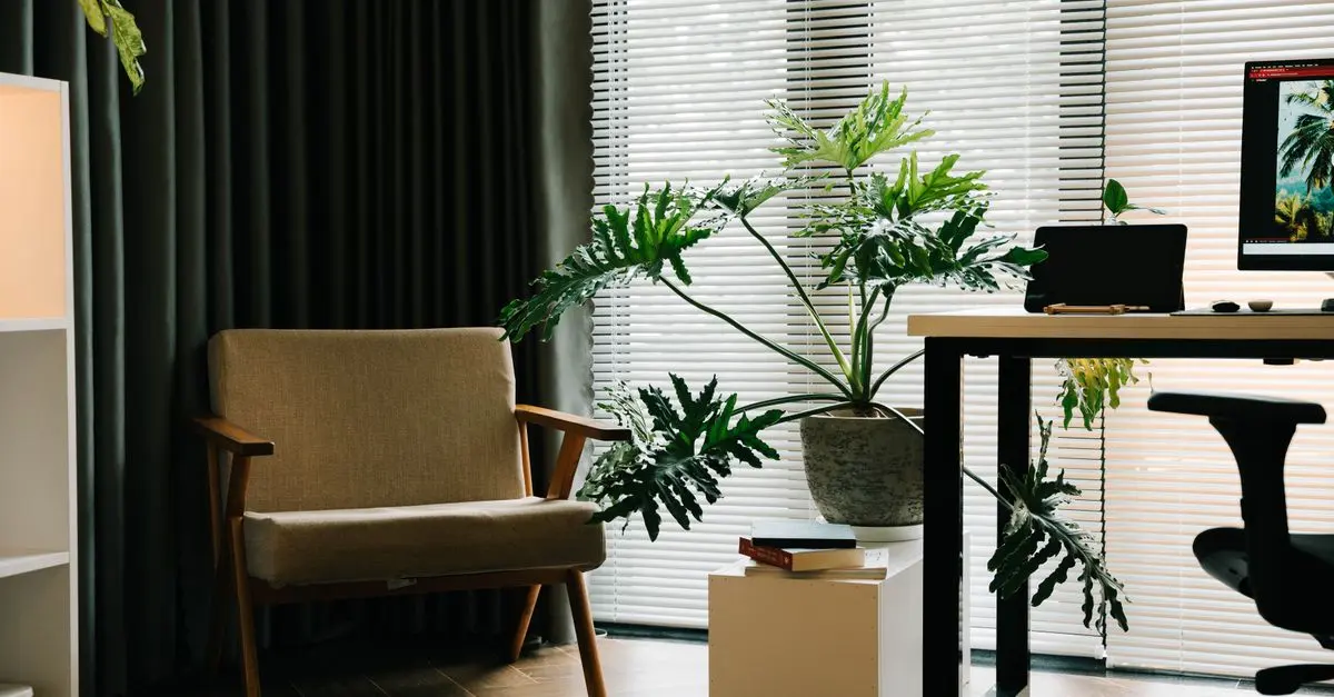Guide d'achat : Stores et Rideaux pour Bureau