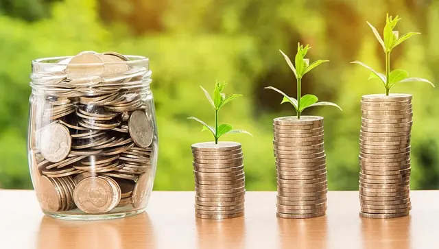 Guide to Luxury Sustainable Investments