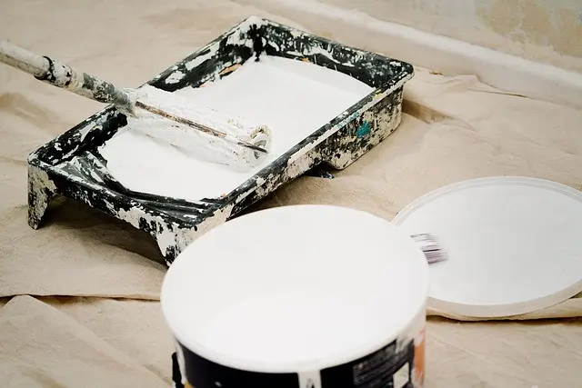 Guide d'Achat : Peinture Intérieure comme un Pro