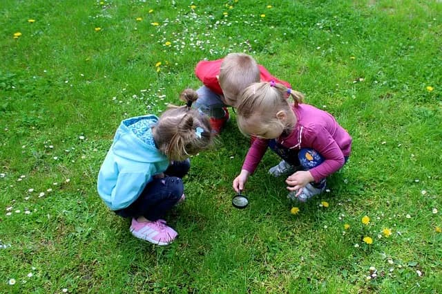 Jeux Éducatifs pour Enfants : Guide d'Achat Complet