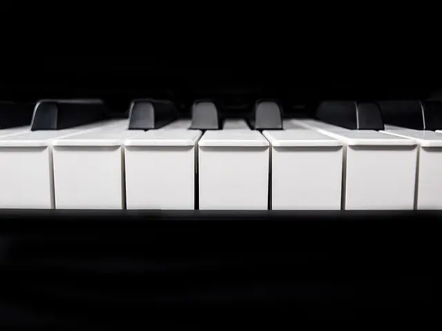 Teclados Ergonómicos Recomendados para la Salud
